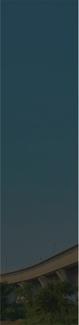 jinnianhui���� - �����