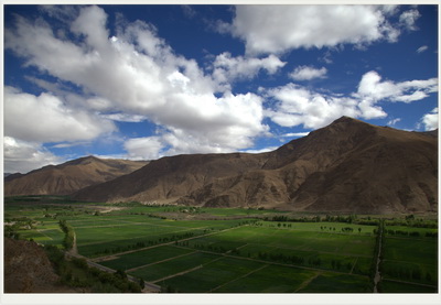 jinnianhui���� - �����