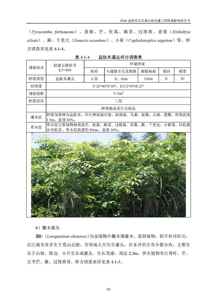 jinnianhui���� - �����