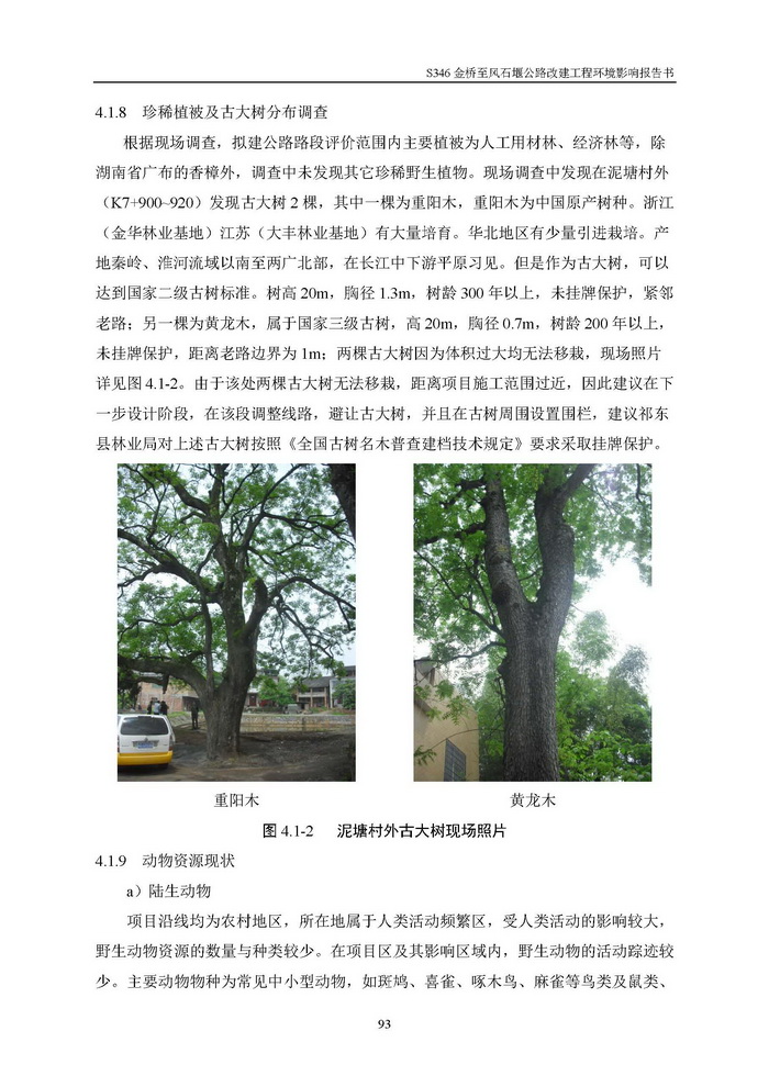 jinnianhui���� - �����