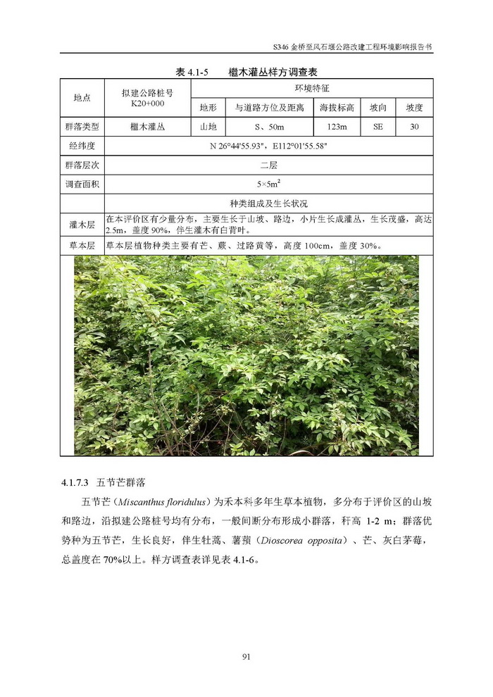 jinnianhui���� - �����