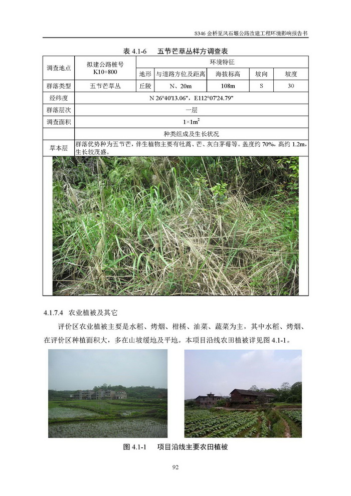 jinnianhui���� - �����