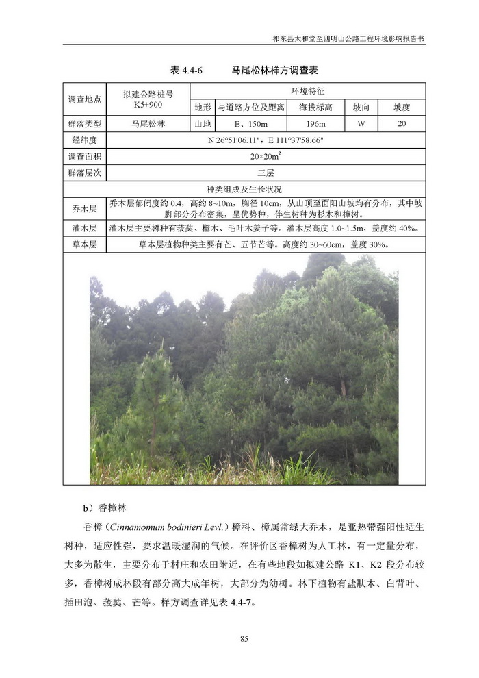 jinnianhui���� - �����