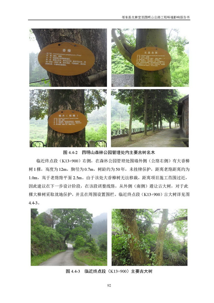 jinnianhui���� - �����