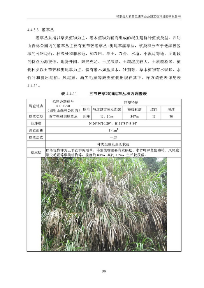 jinnianhui���� - �����