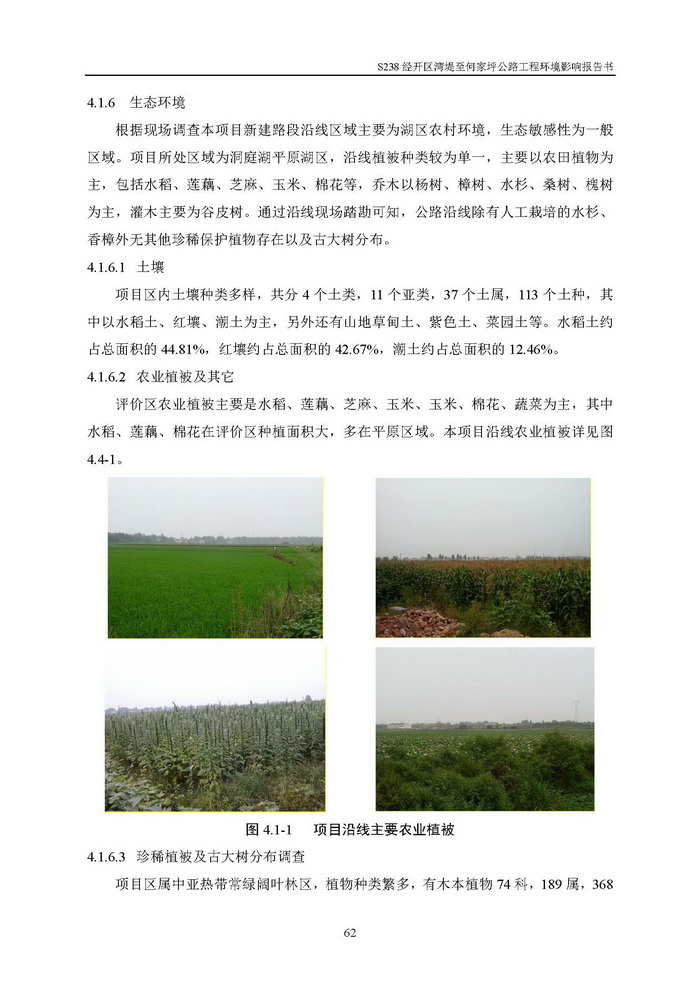 jinnianhui���� - �����