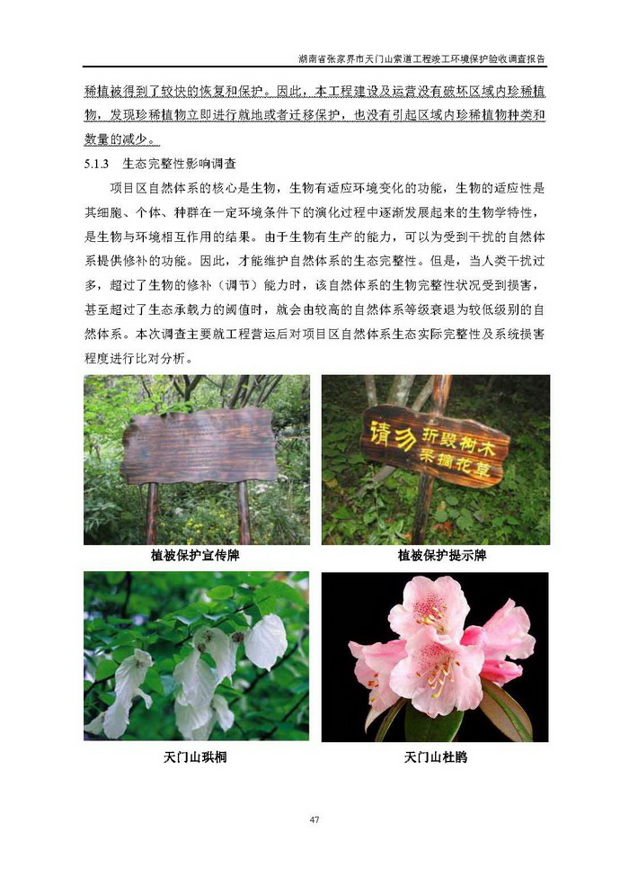 jinnianhui���� - �����