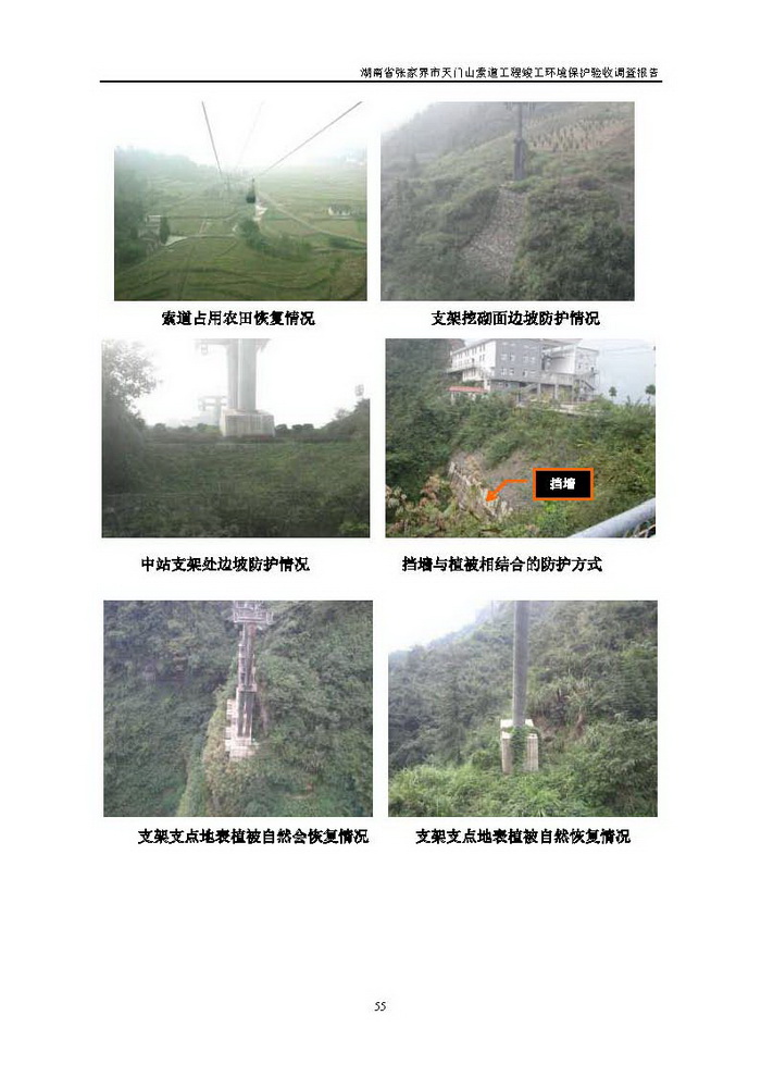 jinnianhui���� - �����