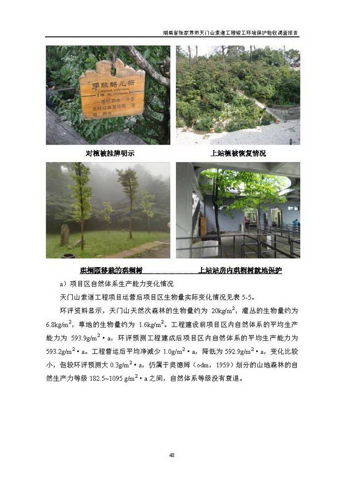 jinnianhui���� - �����