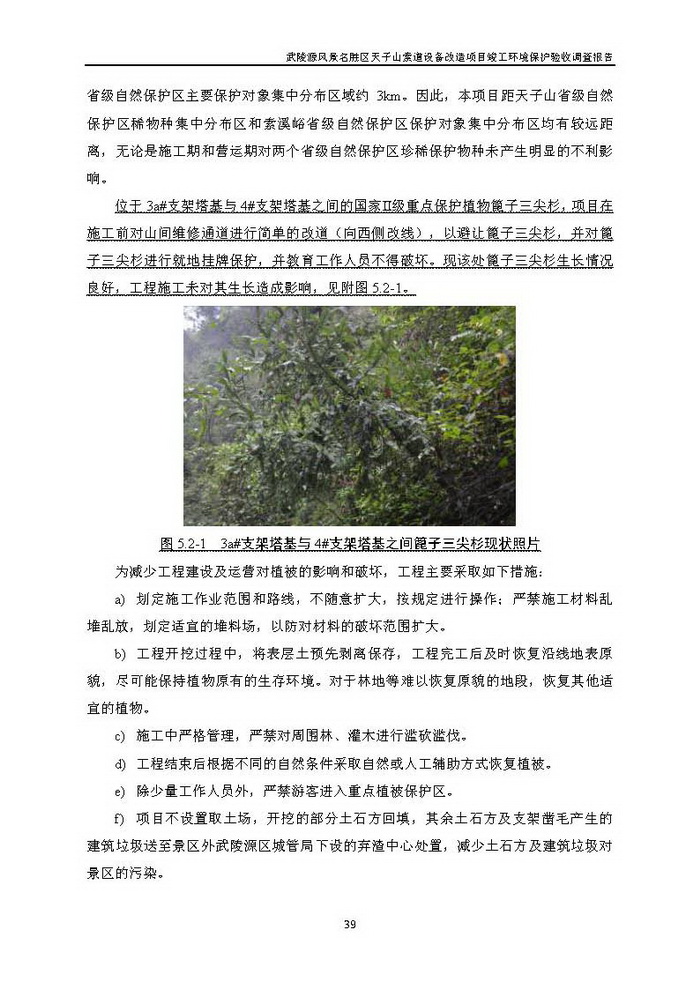 jinnianhui���� - �����