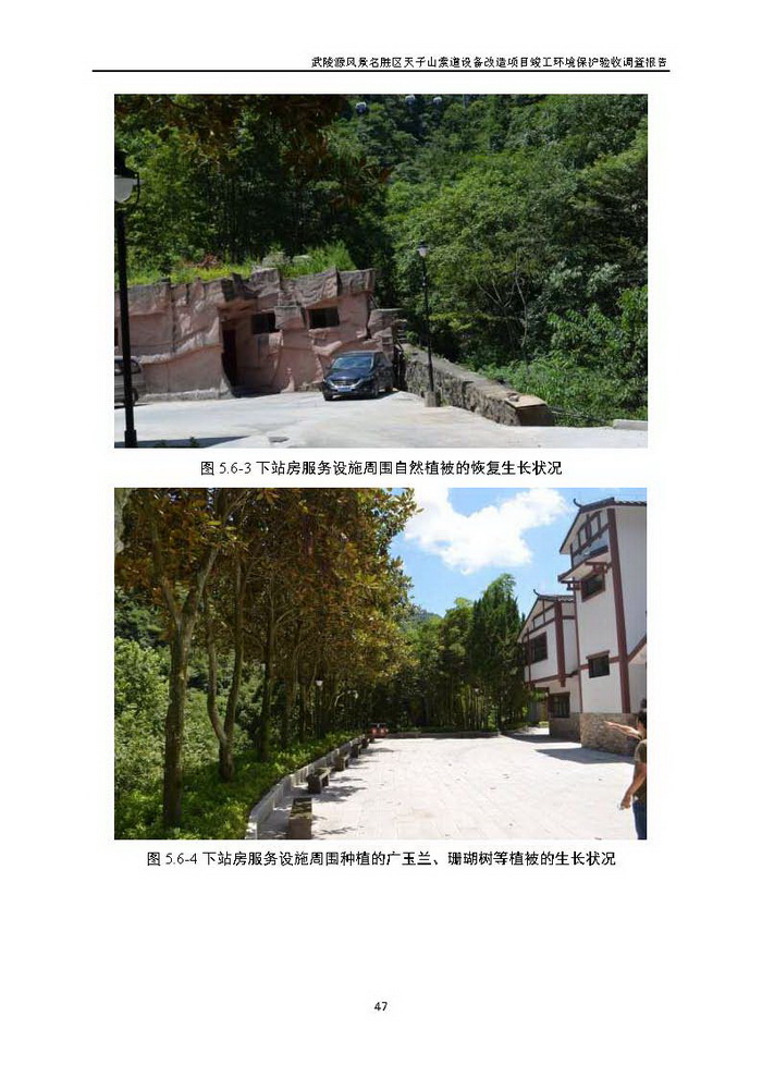 jinnianhui���� - �����