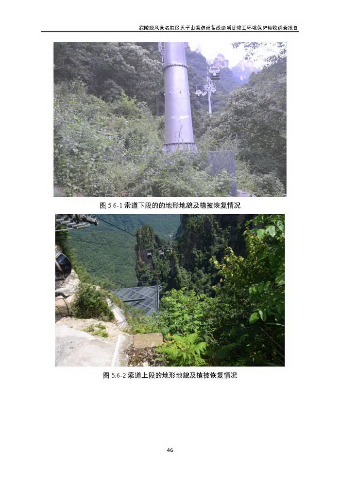 jinnianhui���� - �����