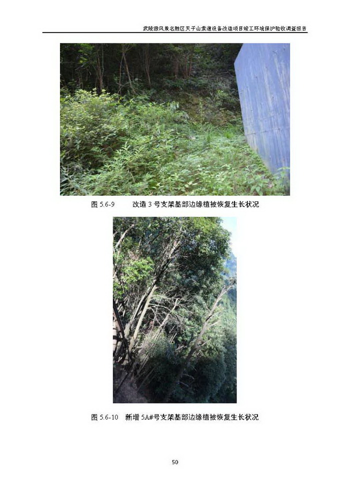 jinnianhui���� - �����