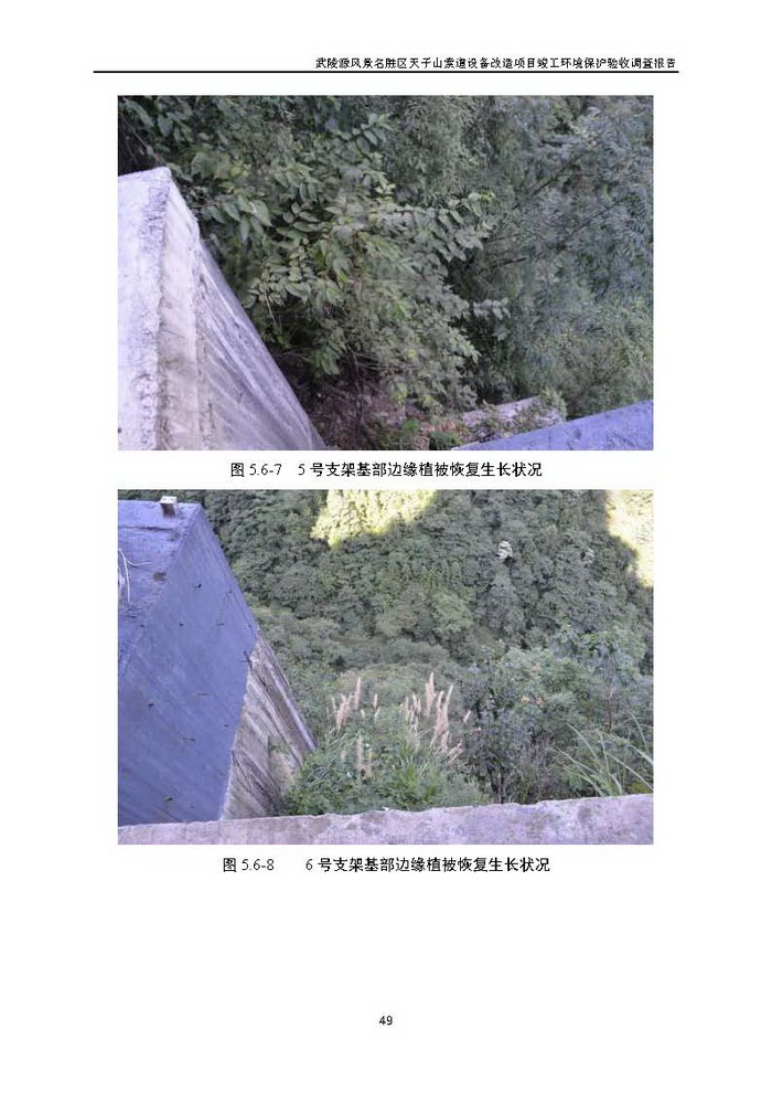 jinnianhui���� - �����