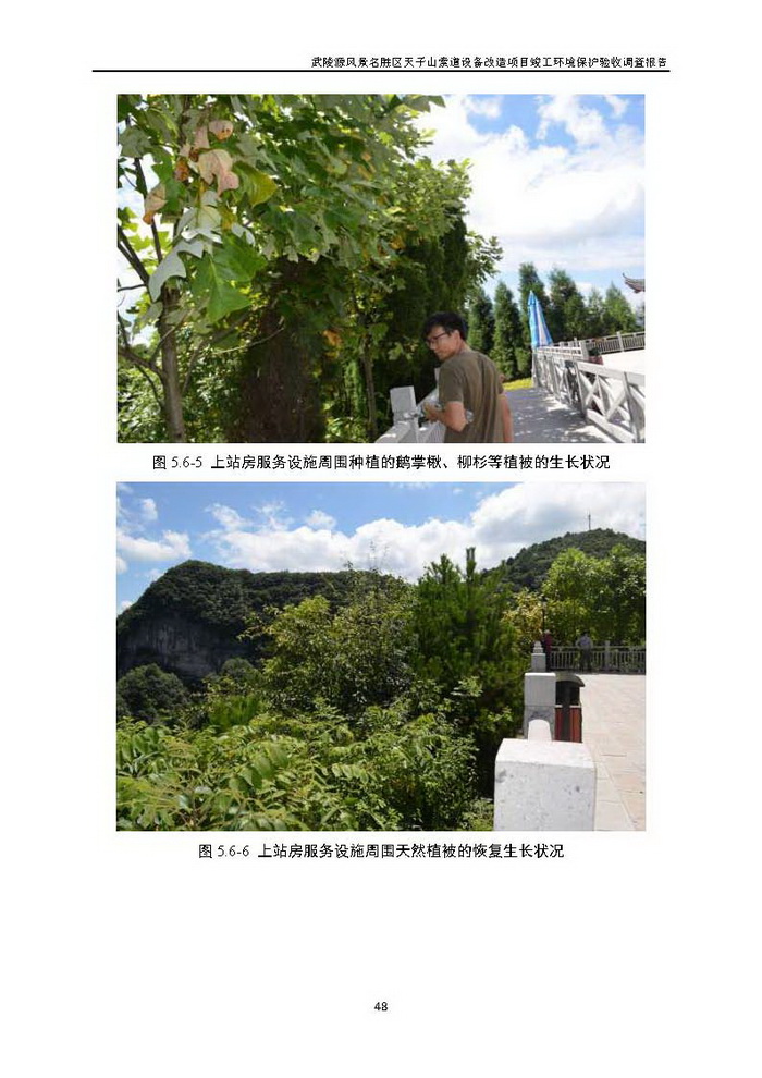 jinnianhui���� - �����