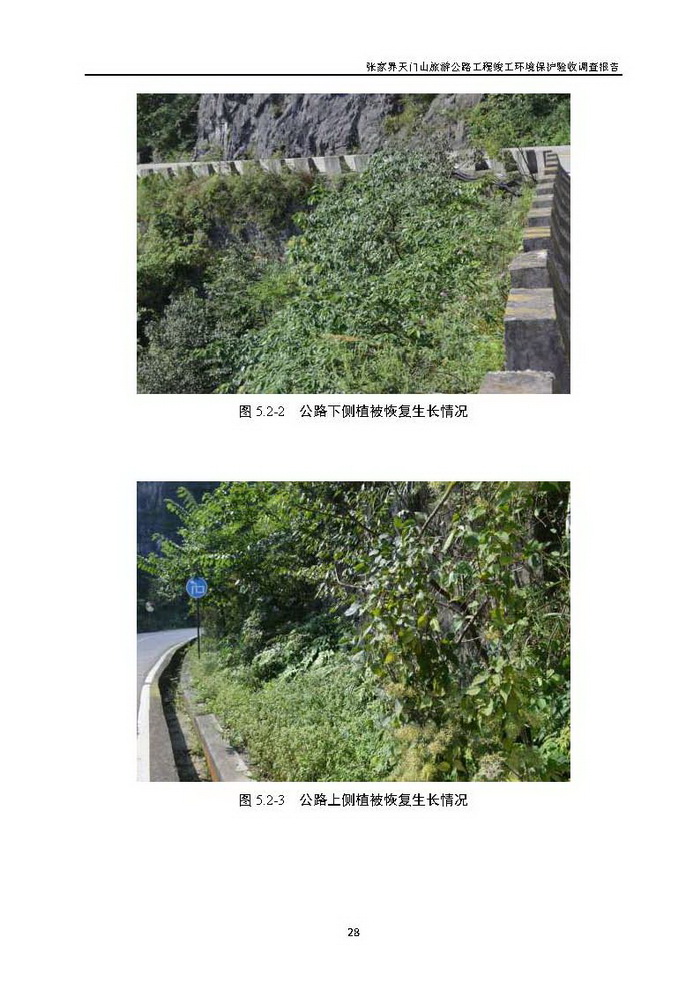 jinnianhui���� - �����