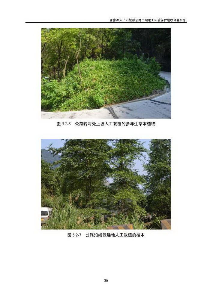 jinnianhui���� - �����