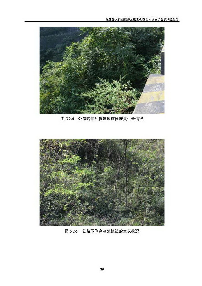 jinnianhui���� - �����