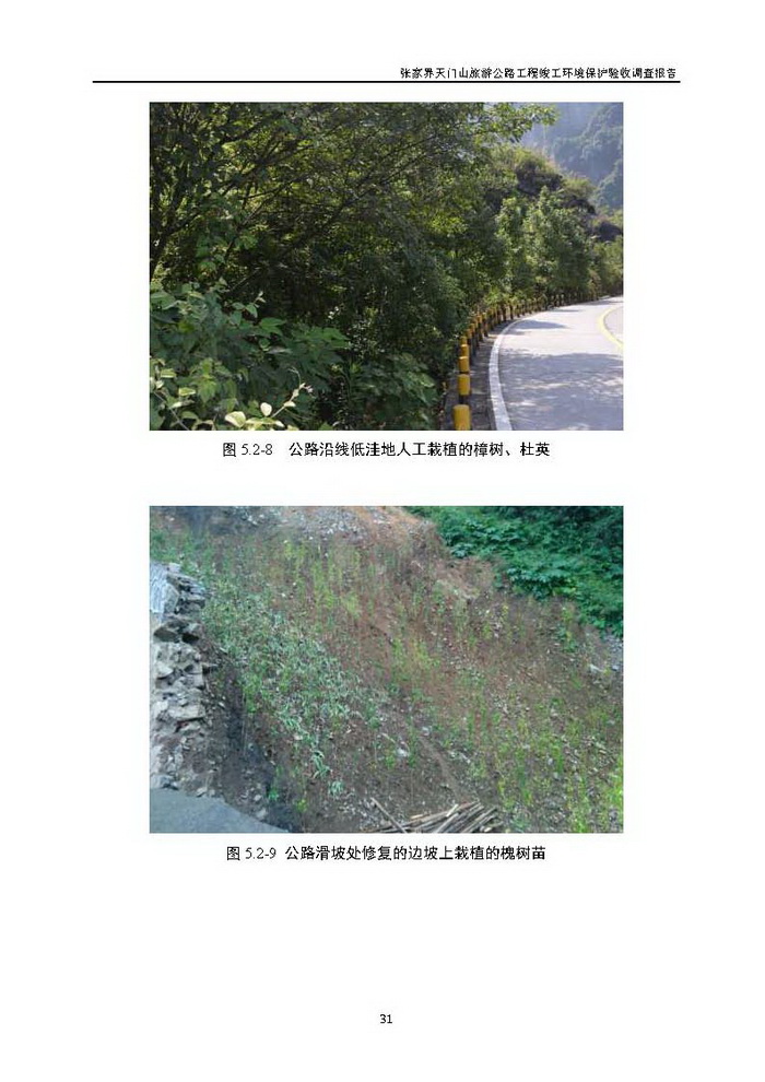 jinnianhui���� - �����