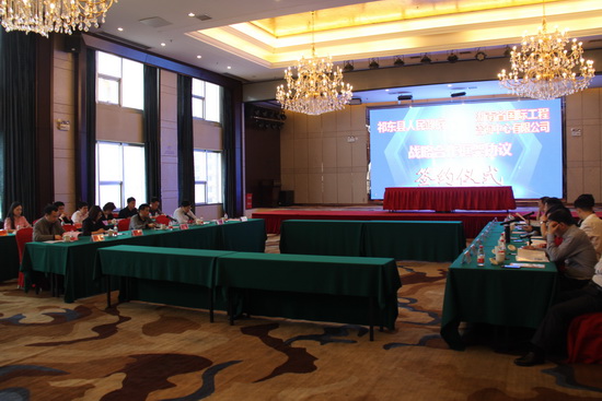 jinnianhui���� - �����