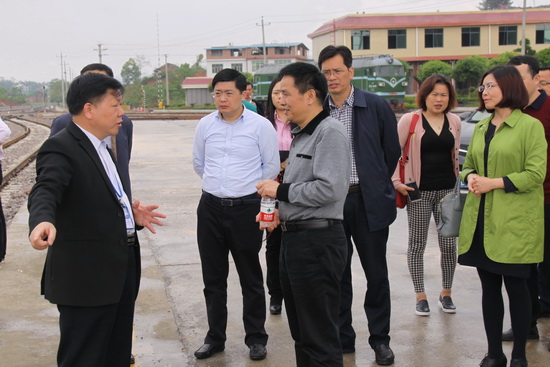 jinnianhui���� - �����