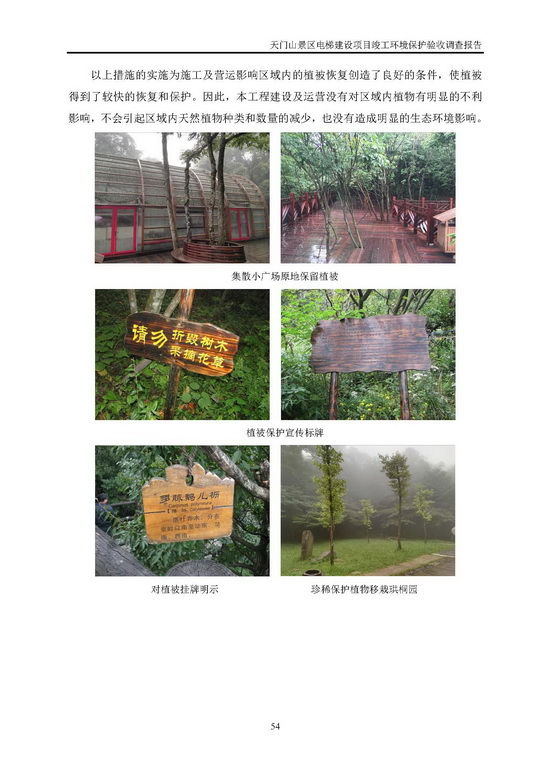 jinnianhui���� - �����