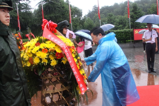 jinnianhui���� - �����