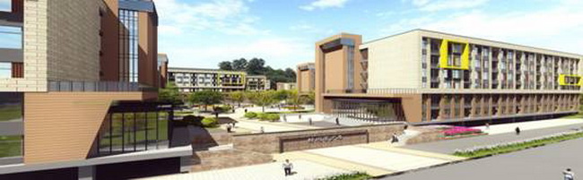 jinnianhui���� - �����