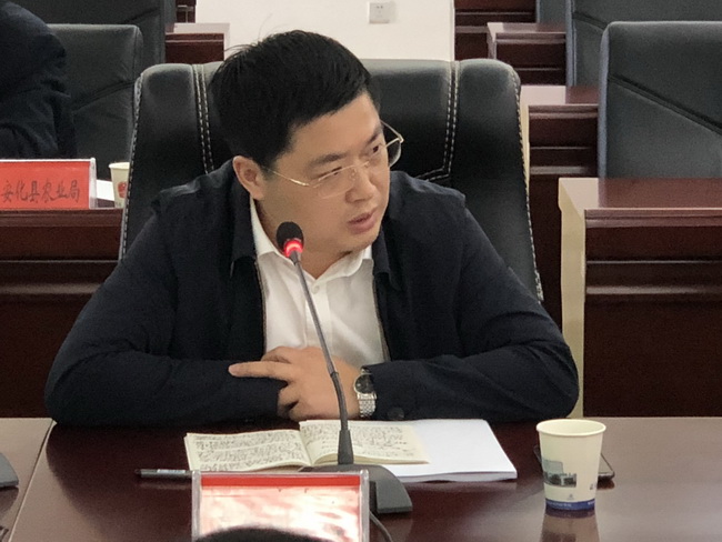 jinnianhui���� - �����