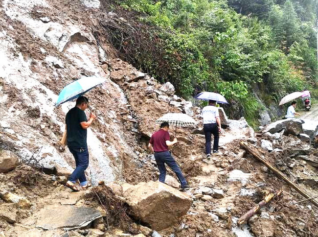 jinnianhui���� - �����