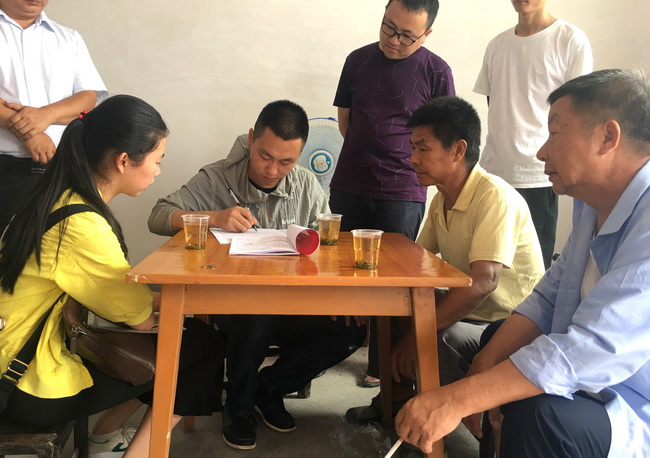 jinnianhui���� - �����