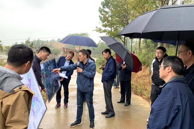 jinnianhui���� - �����