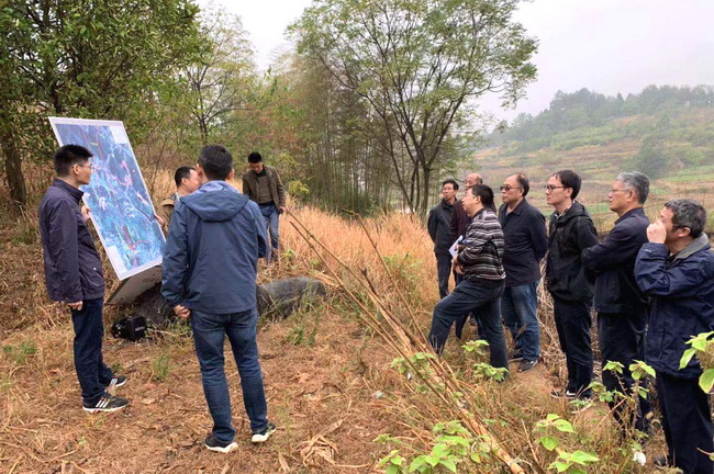 jinnianhui���� - �����