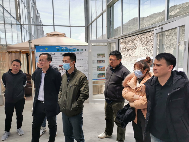 jinnianhui���� - �����