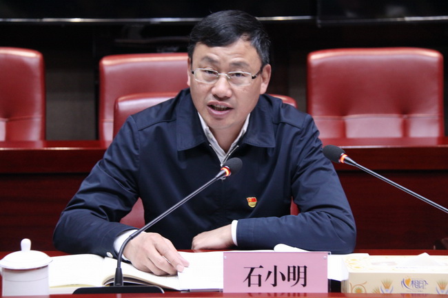 jinnianhui���� - �����