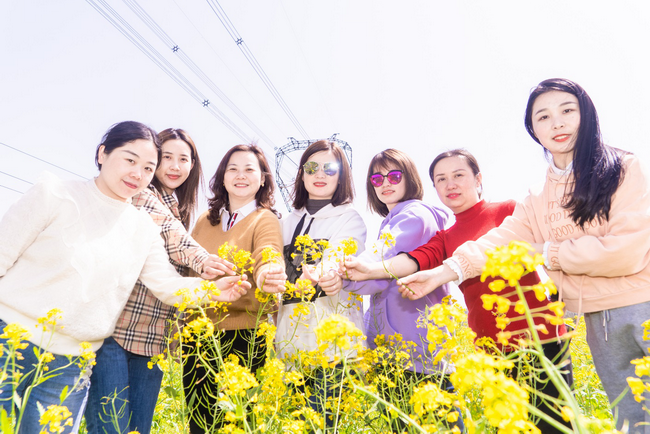 jinnianhui���� - �����