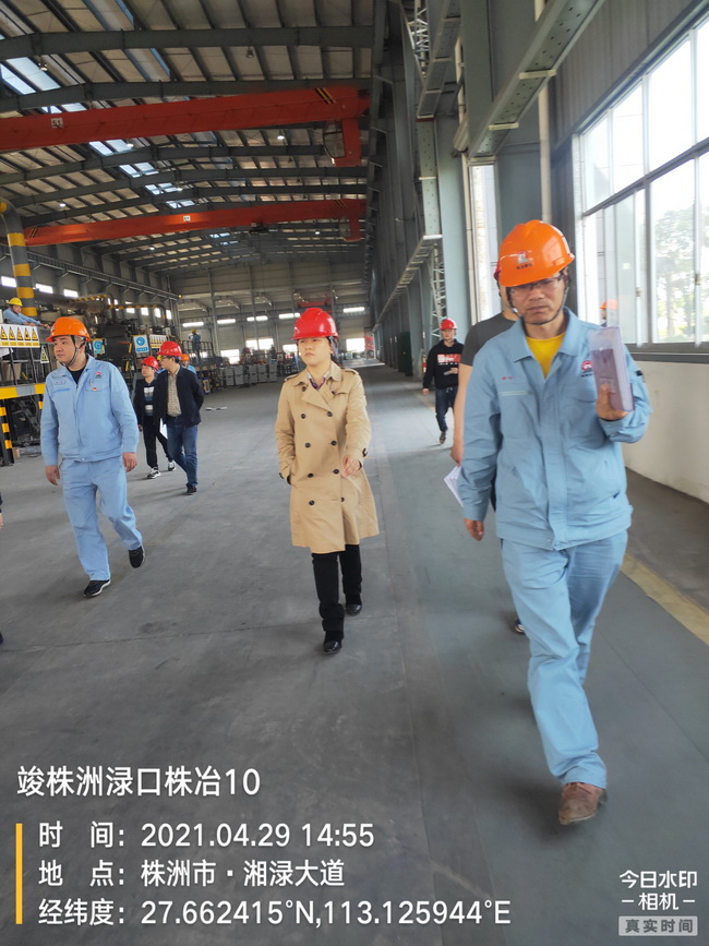 jinnianhui���� - �����