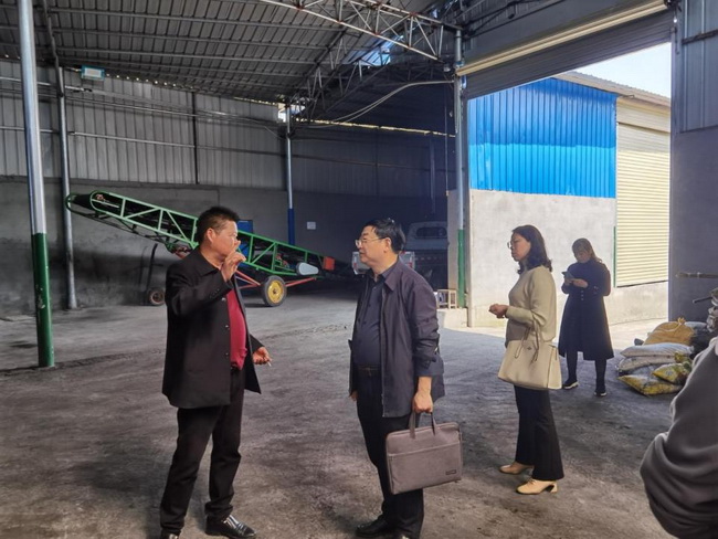 jinnianhui���� - �����