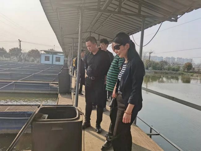 jinnianhui���� - �����