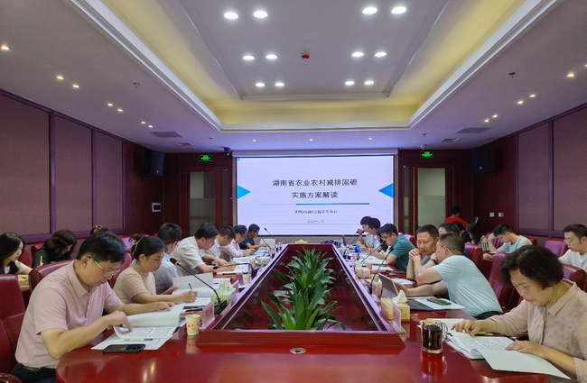 jinnianhui���� - �����