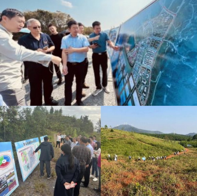 jinnianhui���� - �����