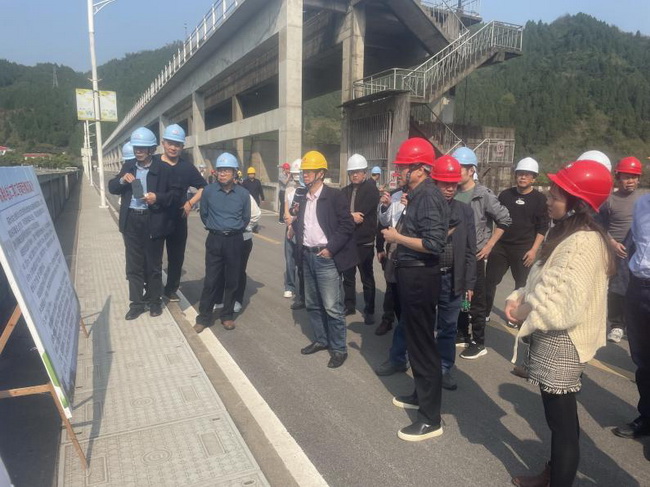 jinnianhui���� - �����