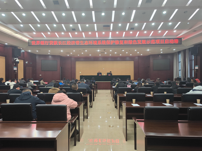 jinnianhui���� - �����