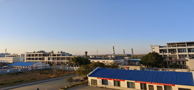 jinnianhui���� - �����