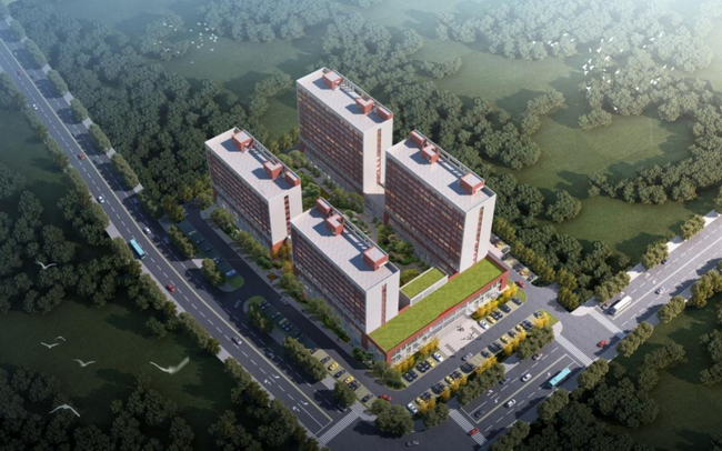 jinnianhui���� - �����