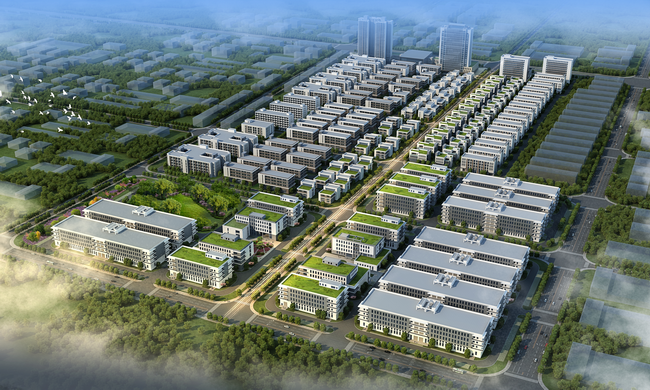 jinnianhui���� - �����