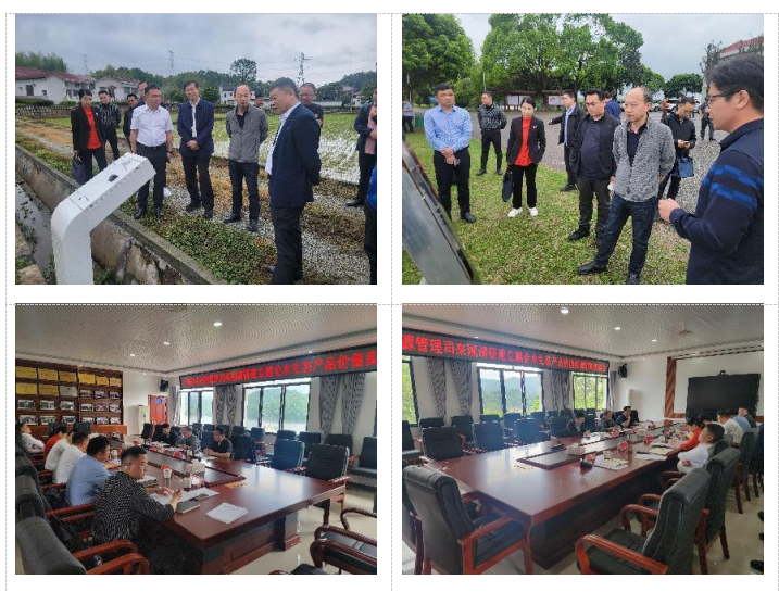 jinnianhui���� - �����