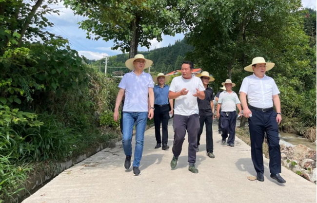 jinnianhui���� - �����