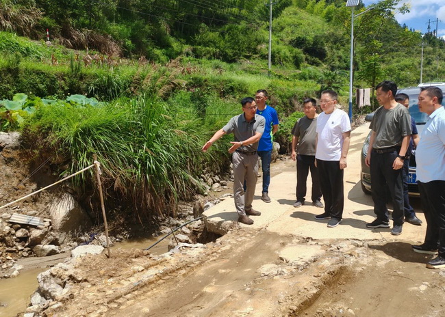 jinnianhui���� - �����