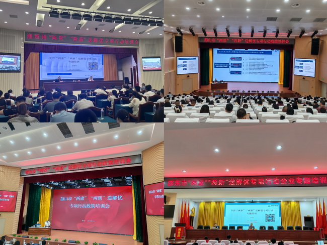 jinnianhui���� - �����